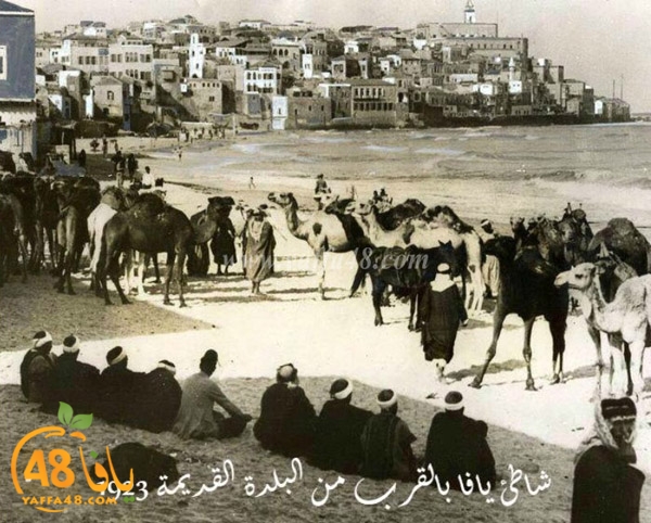 yaffa old 1934 (17).jpg